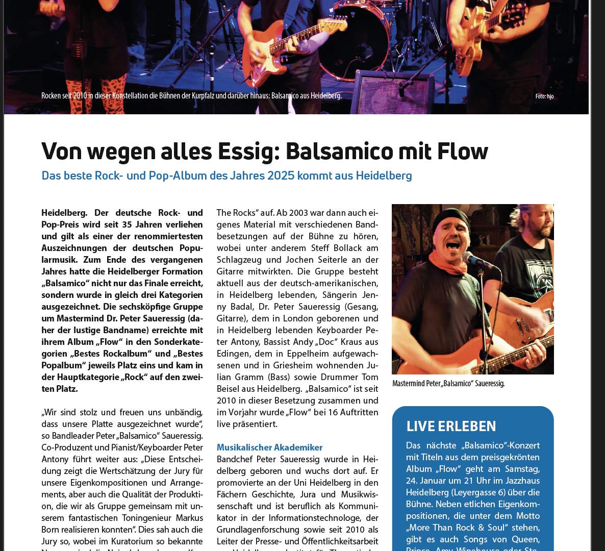 Artikel Hajo Of Balsamico Flow