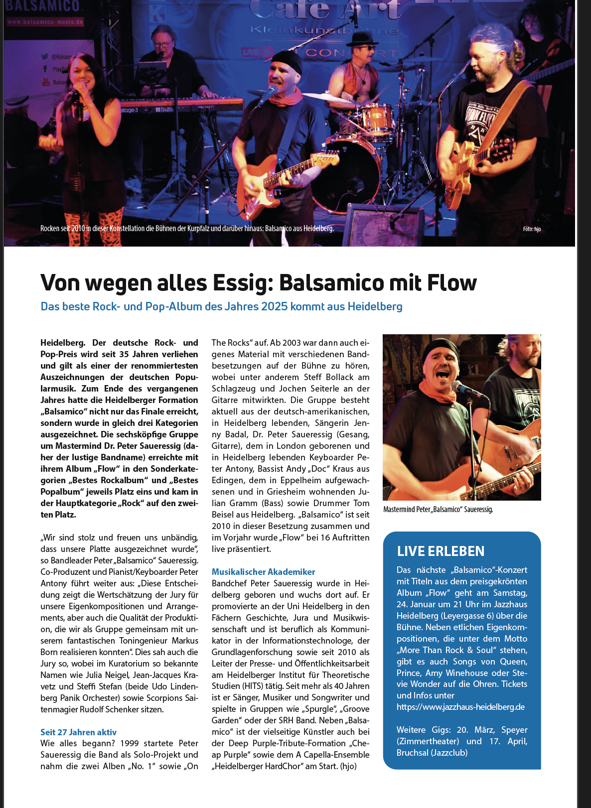 Artikel Hajo Of Balsamico Flow